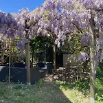 Millepertuis 3* Auriac-du-Périgord