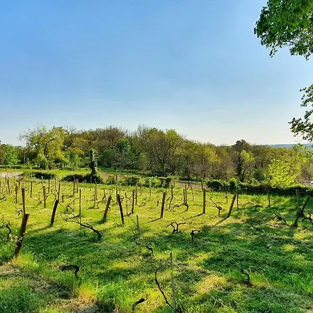 Bed & Breakfast Millepertuis