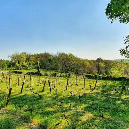 فندق مبيت وإفطار Millepertuis Auriac-du-Périgord